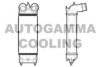 AUTOGAMMA 105888 Intercooler, charger